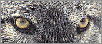 Regard.gif (5320 octets)