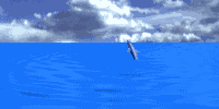 dauphin1.gif (47094 octets)
