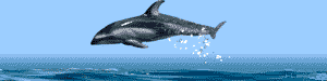 dauphin3.gif (12126 octets)