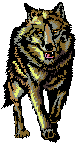loup.run.gif (5449 octets)