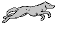 loupgris.gif (3615 octets)