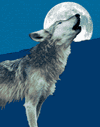 louplune.gif (22145 octets)