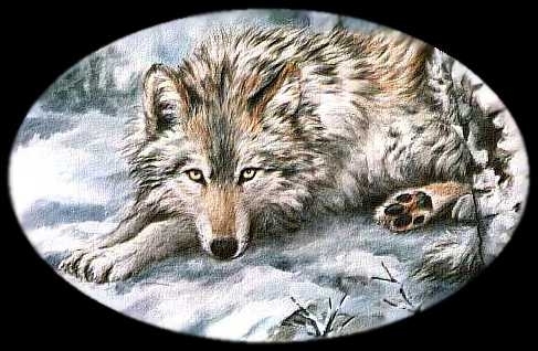 wolfdodo.jpg (75351 octets)