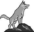 wolfy.gif (3367 octets)